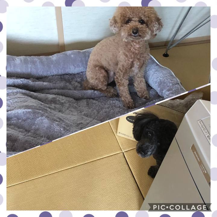 F24c76e7 e7da 4ce1 8667 04c5f47e4482 1591069994493