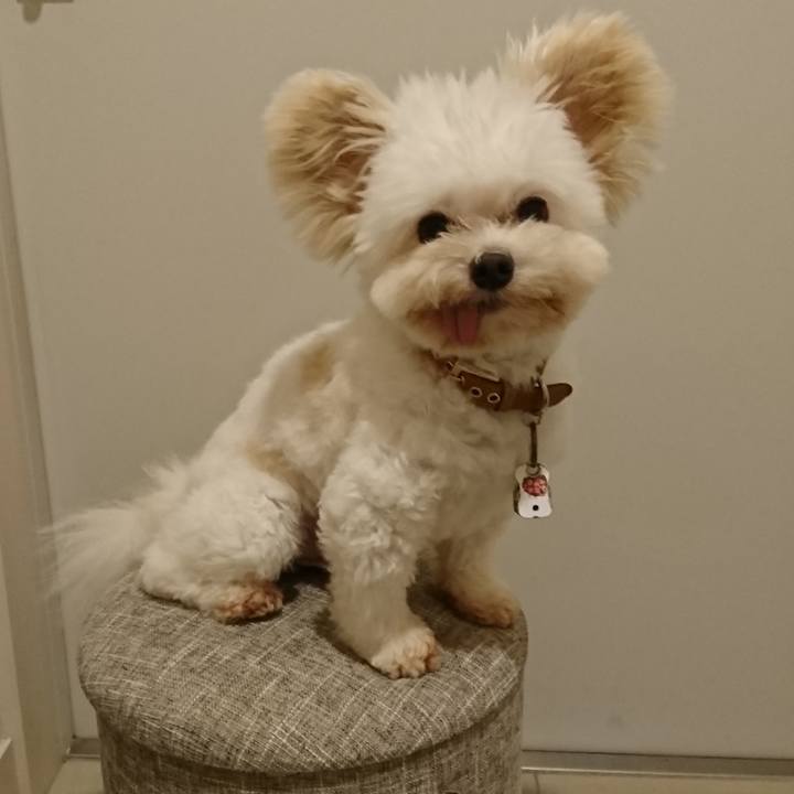 F24c7b1c 2520 4fe5 b741 923b48a8037f 1560703159707