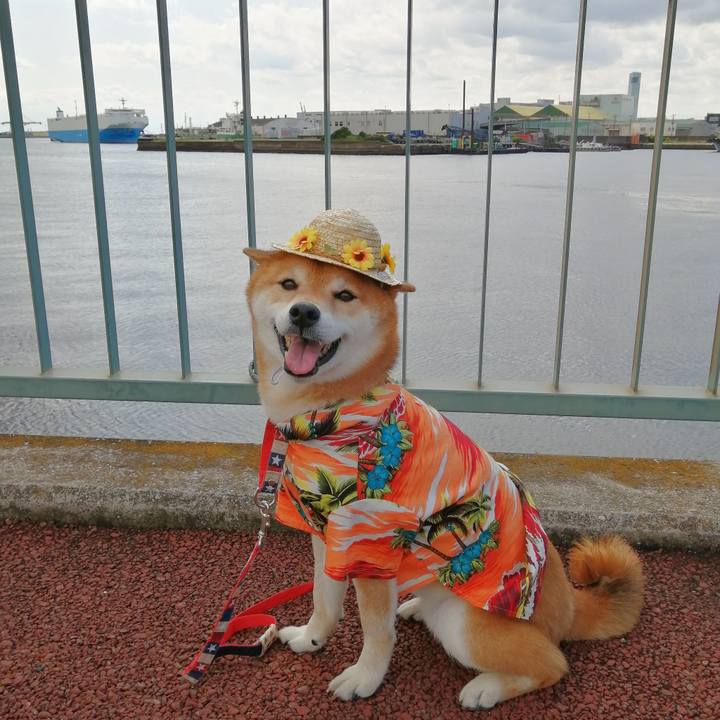 F24cbacd 5eb3 4221 8ab5 164799b1090f 1653220633534