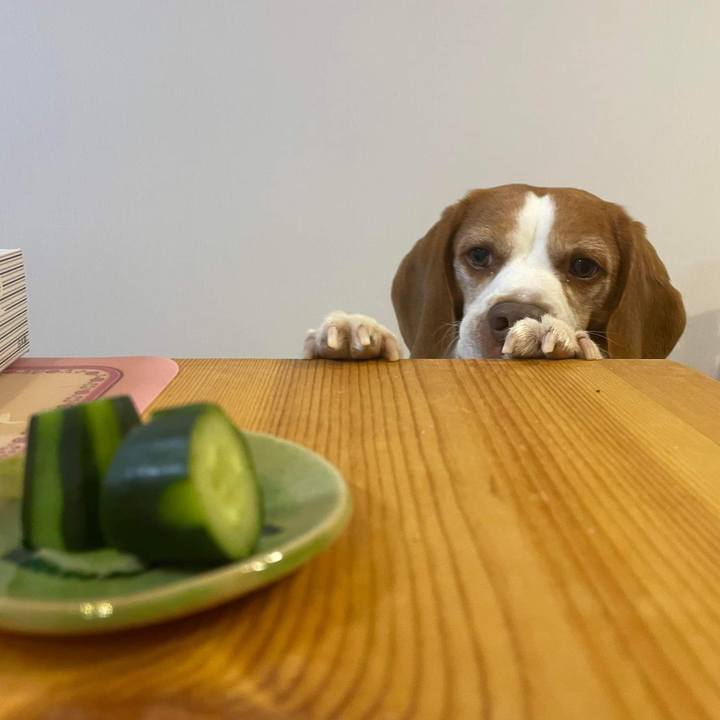 F24cc4dc c33d 4270 bd30 3b6f72b03bb9 1638960267786