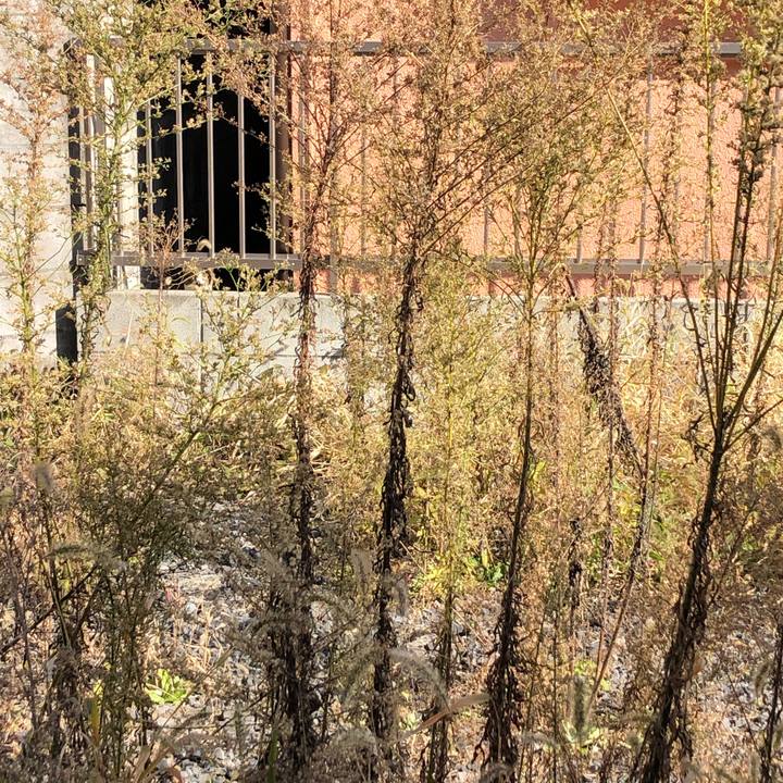 F24cc89a 89bb 47a4 a6c1 ebbca088ac29 1606144798817