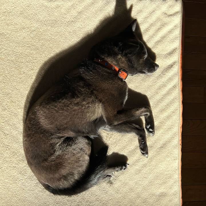 F24cc89b 4463 4820 bf3e 6a5fb426807a 1644549525679