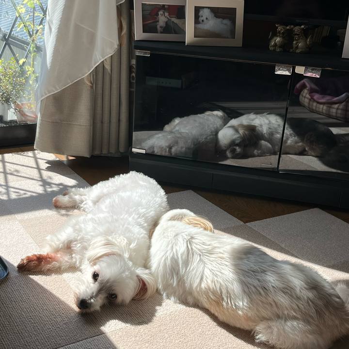 F24ce3c7 6b38 41bc 9344 e91c2882ad88 1666231237381