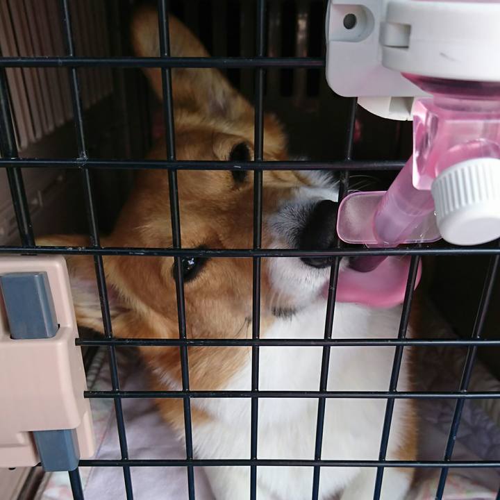 F24cfdfe c66c 4ff6 9e2e 5e7701a4ce94 1524211265368