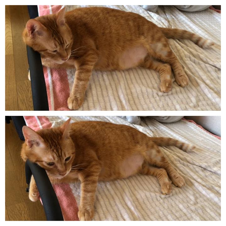 F24d2d26 d363 4f46 bad0 0991646d27fe 1628283088800