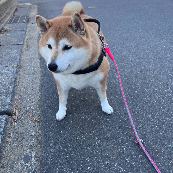 F24d50d8 8c5c 4dd4 b8b4 c9e9d462c58c 1702777472006