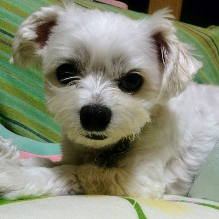 F24d7021 26db 492b 8232 8eb75fcb44ba 1529329360292