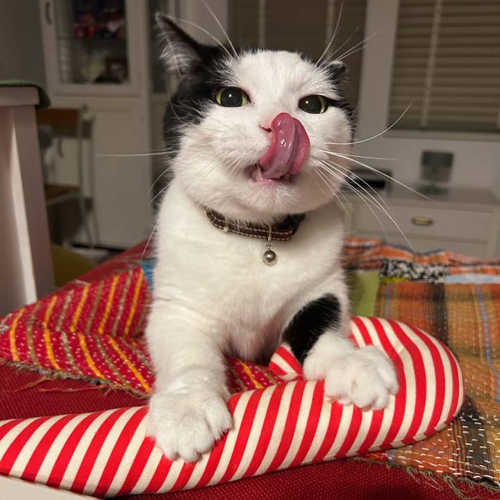 F24d9432 16a1 41f3 8f29 a511ec7ec91d 1775172491902