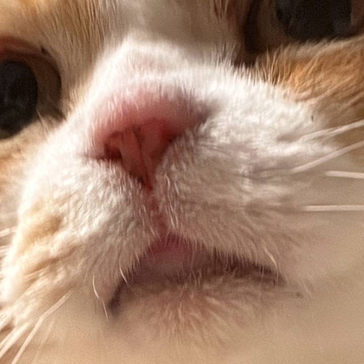 F24d9578 6116 4e7a 821c 1dea18be1dae 1772791166363