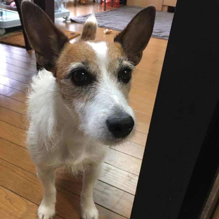 F24d98d2 d020 4e93 a601 48aa7175cac8 1559970282539