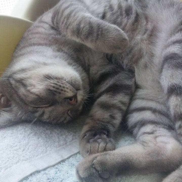 F24dc1d5 8d47 41e3 9261 df35e32badbb 1565672106597