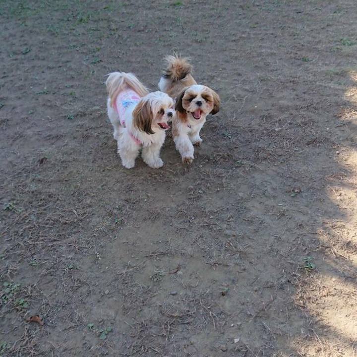 F24dcf0d 0270 4718 9940 a64367c825bb 1543065255869