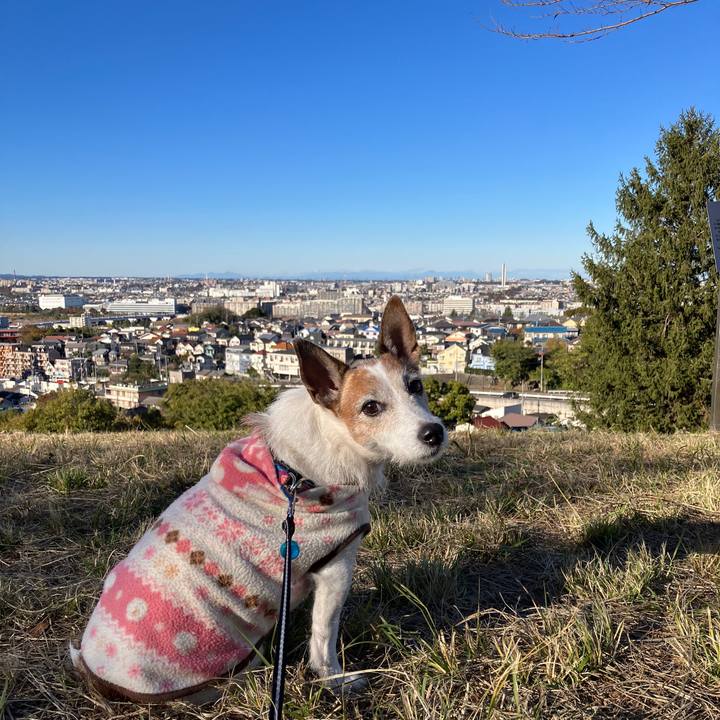 F24e07ba 776a 4a7a b113 0c2809944477 1700436204905