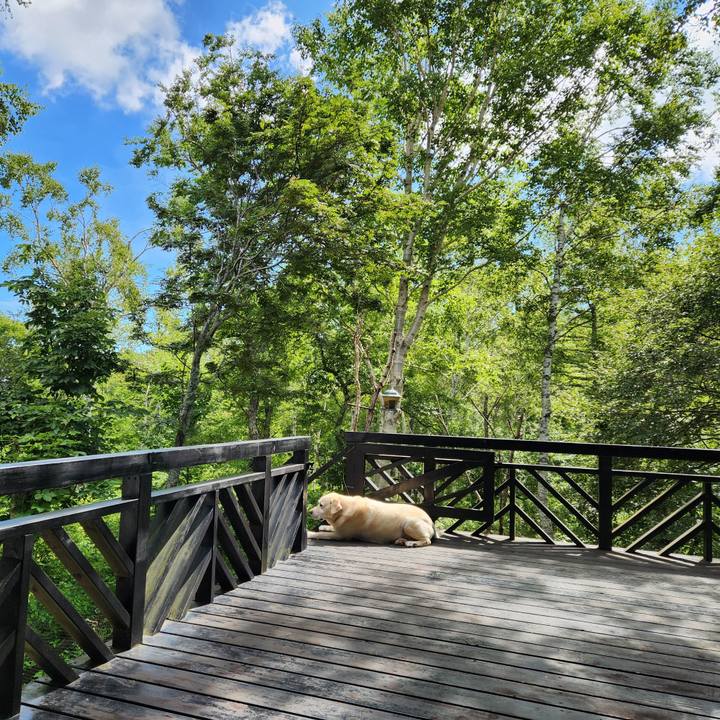 F24e09f6 d606 41ed a279 21b2dbd1c93f 1755231279694