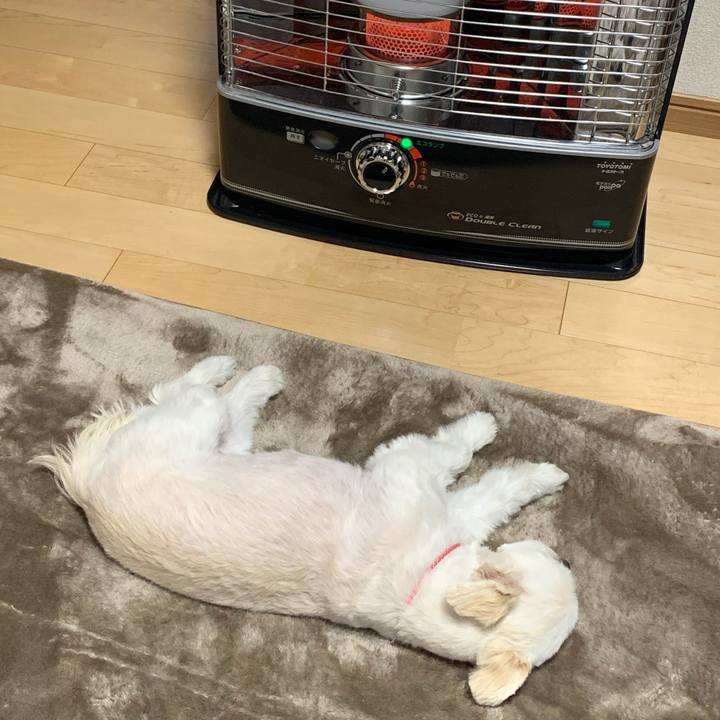 F24e0be9 39a3 4f7a 8f4a 78a77799b172 1605053559815