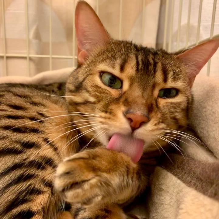 F24e223b 47c0 470d 88c6 16fe2c61a4da 1555805860617