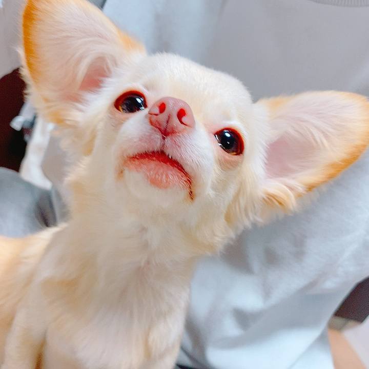 F24e664b 7178 4963 a85f 7aa691c2c033 1629981365071