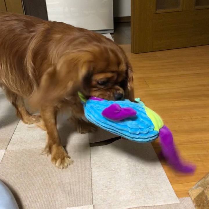 F24e701e 933b 44da 9b84 4ec0882ff33a 1559912106755