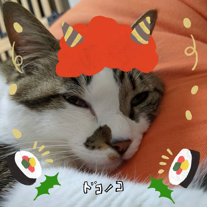 F24e89de cf3e 4460 a91e 826535d257ce 1706757086255