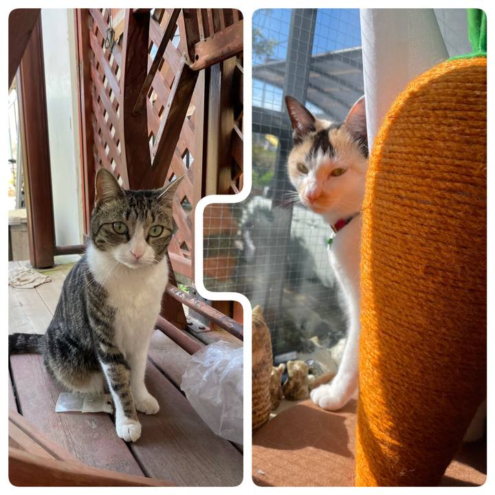 F24ea4fa 46e6 490c 8851 a7274df697c4 1714220835980