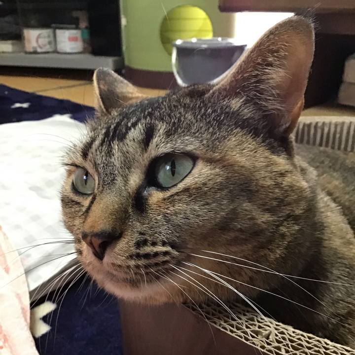 F24eac23 8fd0 4b12 9fa8 04d54fea5cc6 1710155833586