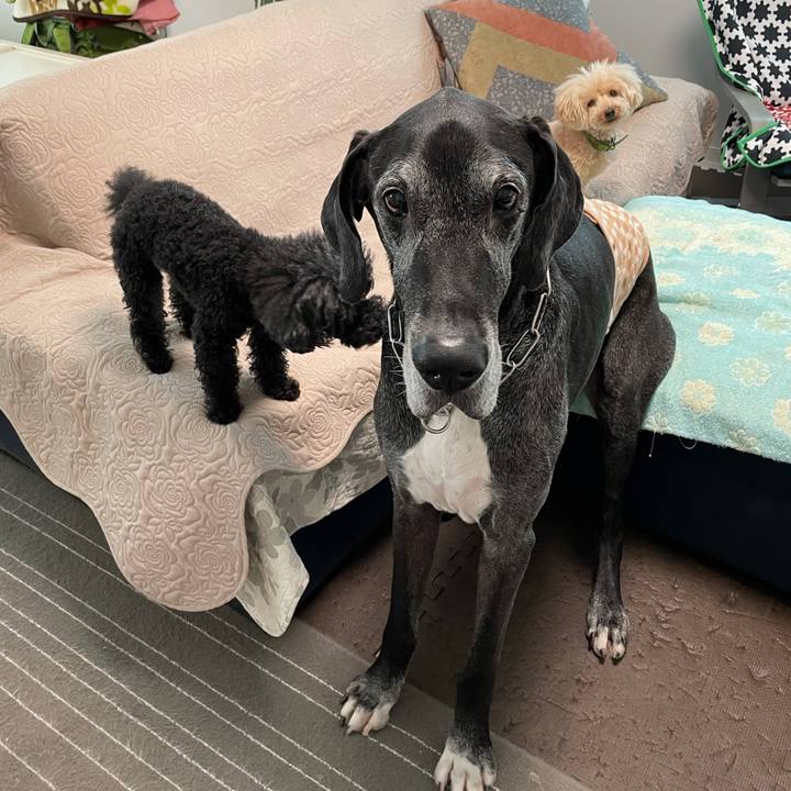 F24eb428 dda3 4124 bcf0 3280616dad77 1623104911248