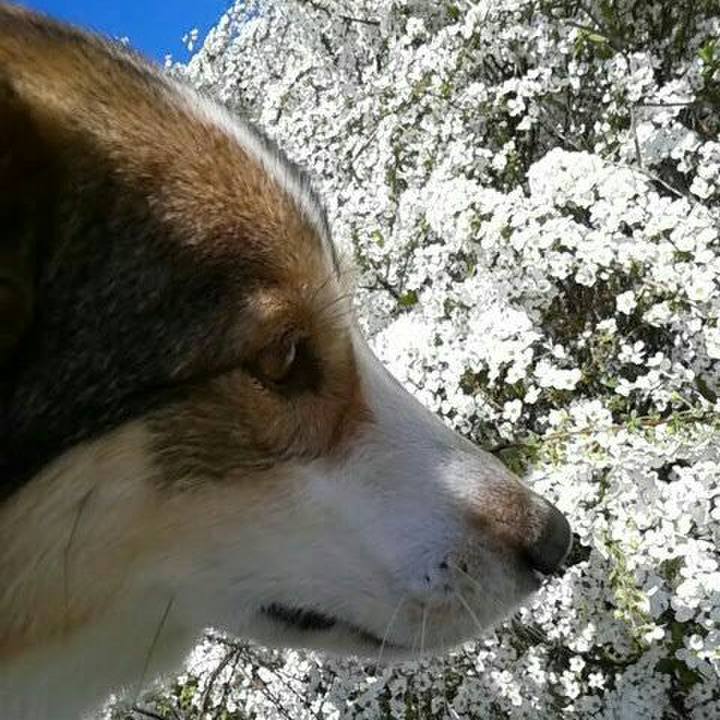 F24eb998 6546 4a2c 8c5e 5414e6bd2b78 1554817605636