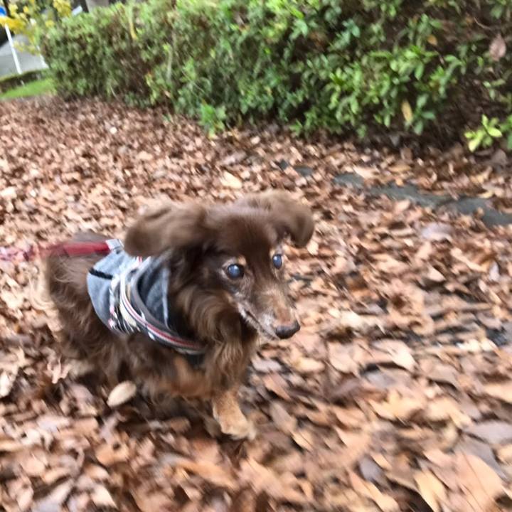 F24ed488 1379 4957 8609 f00c987b041a 1544351077098