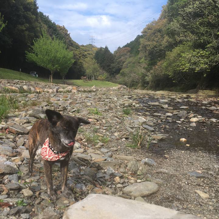 F24eeb32 03e1 47c4 9d57 0ac8b67188a8 1555561147971