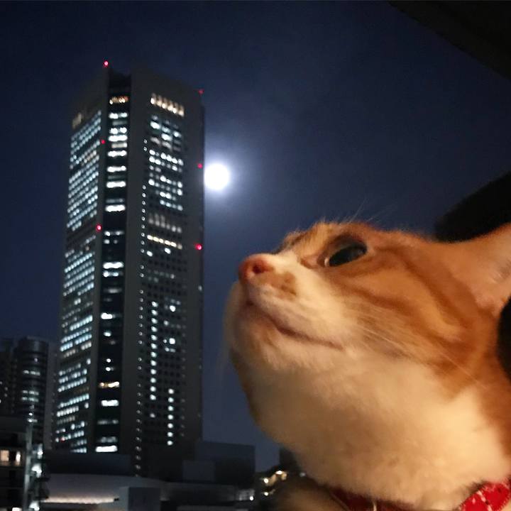 F24f04c4 5fa7 420b 8e63 fc0ae8abafc4 1517683988603