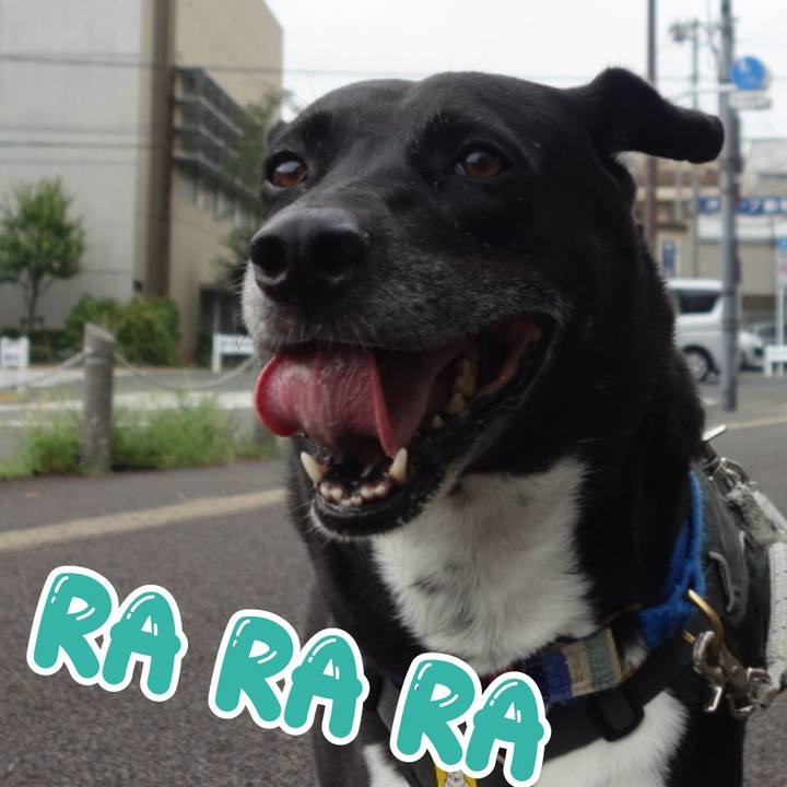 F24f155e 05d2 4204 982d 672541d88684 1662685697302