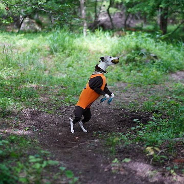 F24f206d 2be6 4e43 b0e9 51f32426d091 1530883432012