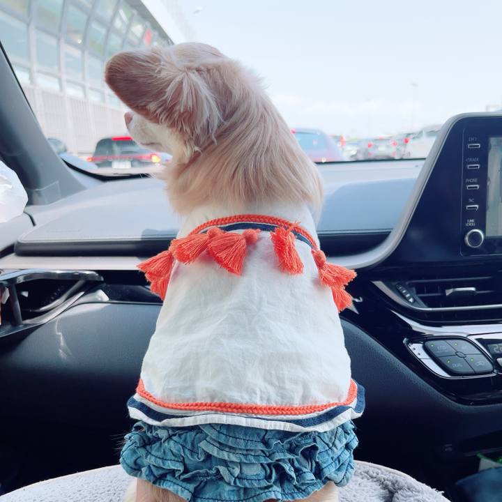 F24f3e76 87a6 4452 a700 e09a736782ad 1746427493629