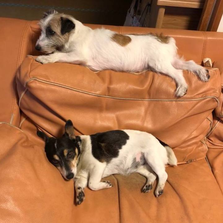 F24f41cb 2c31 4cc7 b5e4 f4e7d93dcdfb 1750472181330