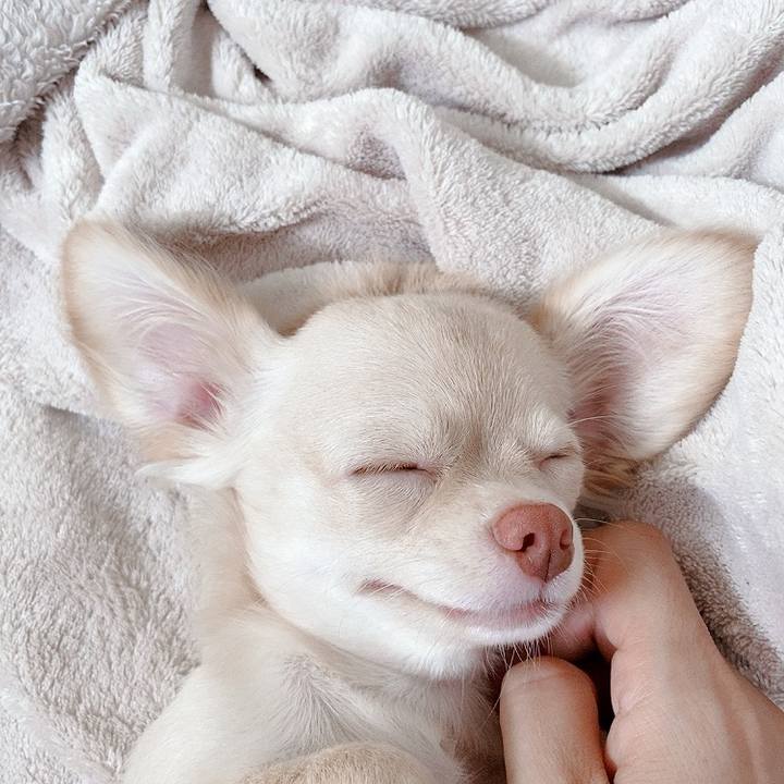 F24f66aa 377f 415f bbbe 60b3e8f9c5f1 1595820507312