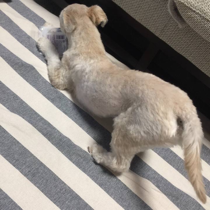 F24f6a95 e86f 4471 a8f7 d2ada29cab0a 1528282283273