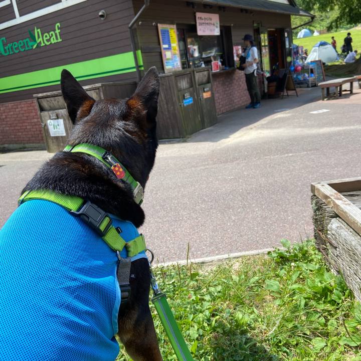 F24f7704 f189 4738 89ab d11e9a9bc4ce 1597466017434