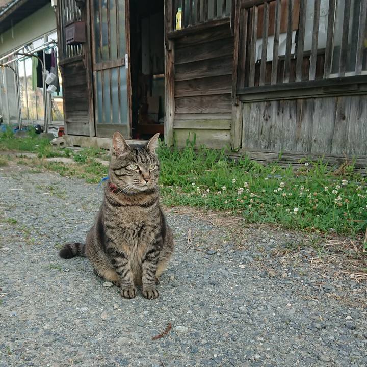 F24f8083 e519 4036 80aa edba23dcb508 1656799899419