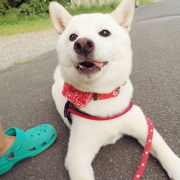 F24f9249 fbf0 474d 84e3 84c62b519bfe 1626691660581