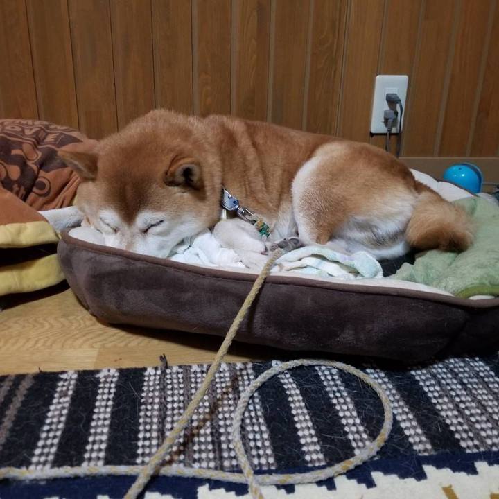 F24fb012 9a81 464a a8e9 a4f63f2e8441 1568977767854