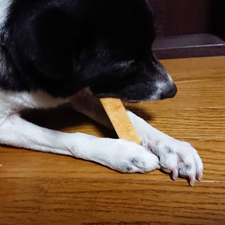 F24fb81f 3a61 4994 bd65 3b6314dc324e 1525693130729