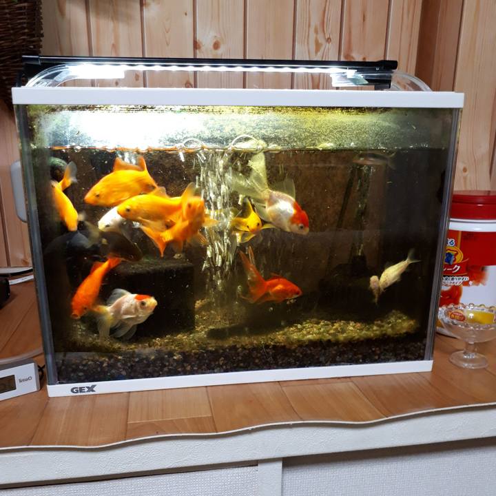 F24fe73b c23e 4af5 8434 32275a9bd833 1517949182984