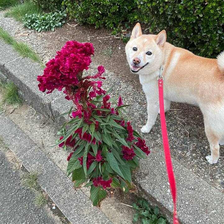 F24fe87d 5913 4acd 843e 42dac7f54681 1695816677587