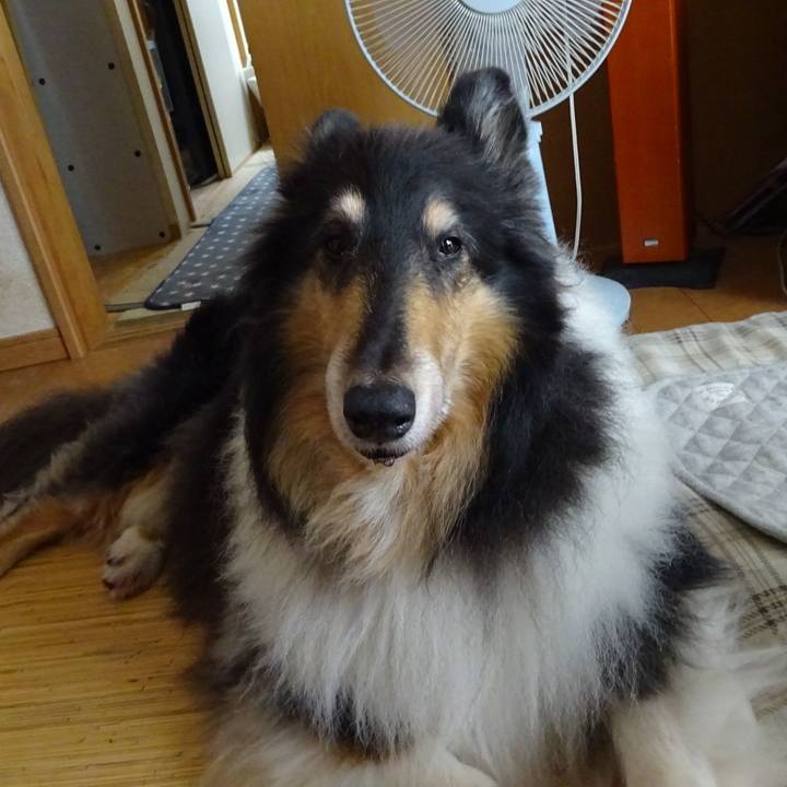 F24feed8 c260 4750 894f f352b2932558 1572524658797