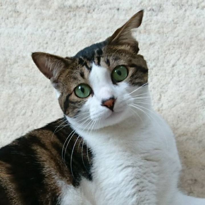 F25009c6 e5ba 4126 b1aa b99ef2b8c2fa 1533478634394