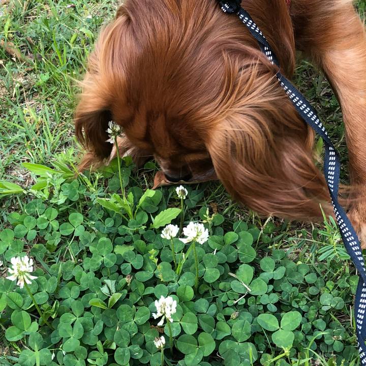 F25020d0 1386 4f8a 84cf d9f2d1d48bf1 1525260049009