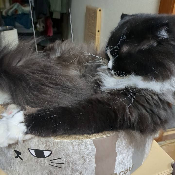 F2502561 b66e 4073 8e57 106aa7e80ec5 1772883898658