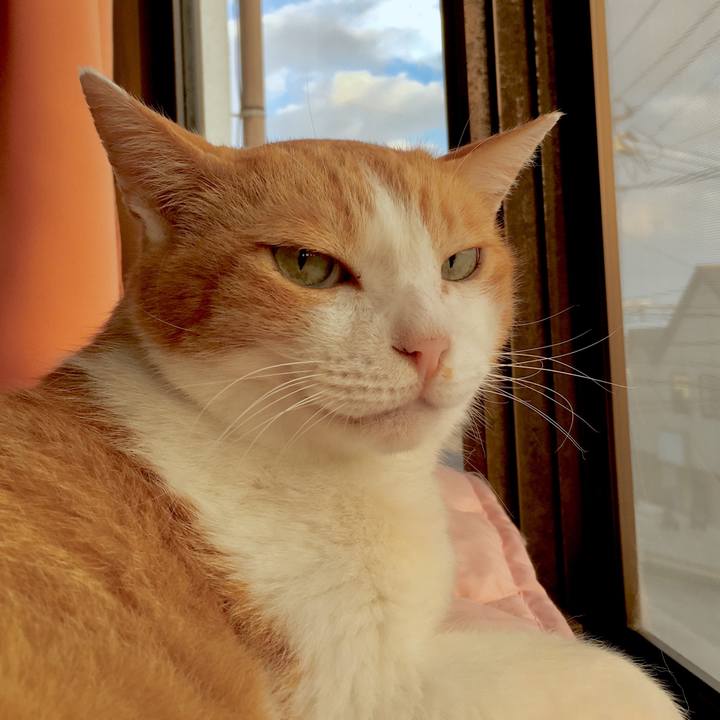 F2508f3b a82a 4ef9 b331 08c508240d4b 1568689589639