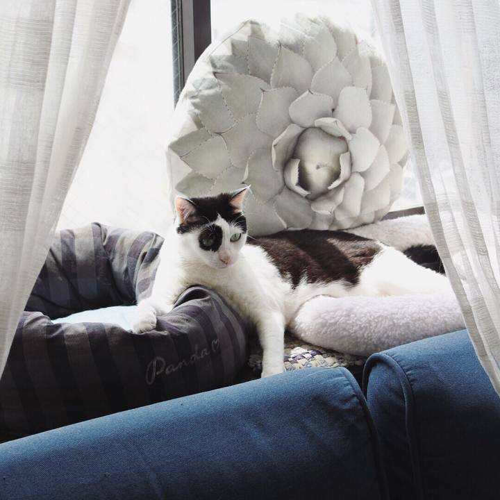 F250bc28 79be 4abb 8bfa d1df1182e948 1558437957247