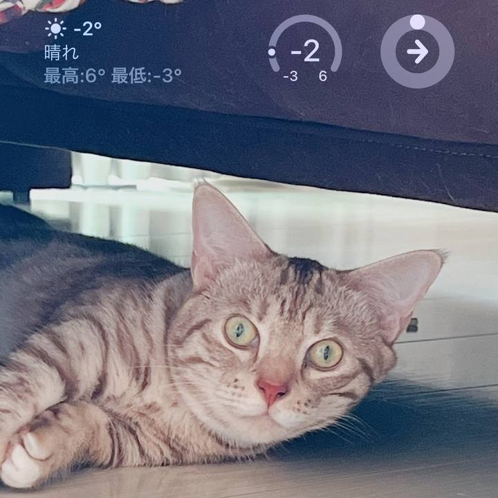 F250c5db b520 4efa 956b 561b535e1735 1674859211626